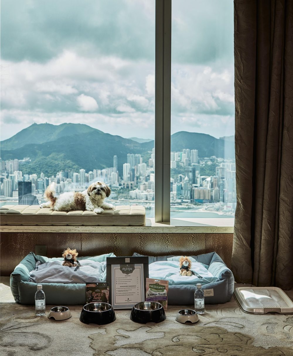 香港麗思卡爾頓酒店 「寵·愛」住宿之旅 2