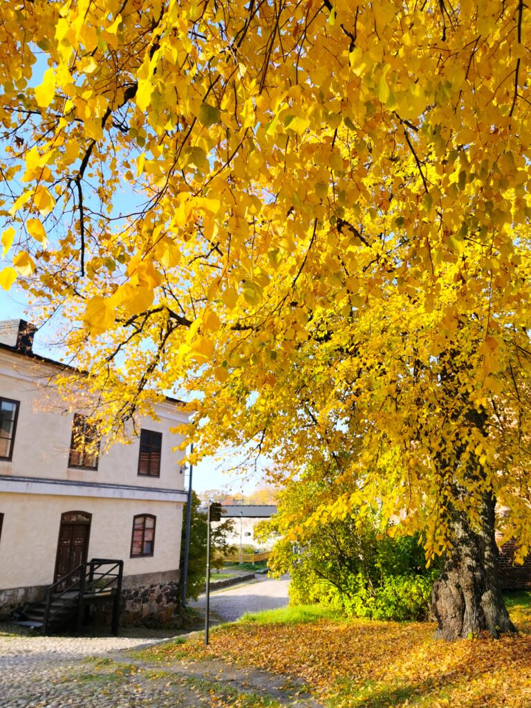 Suomenlinna Sveaborg 芬蘭堡