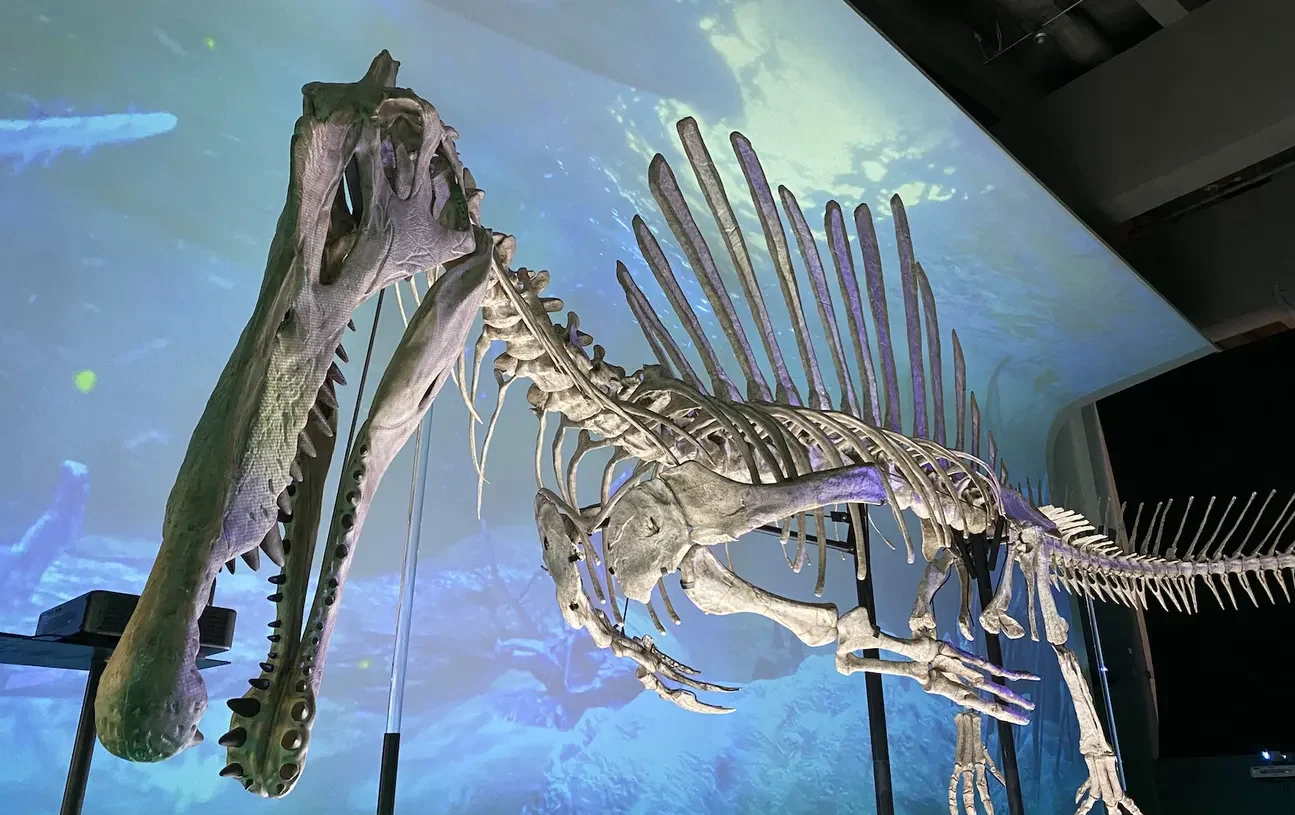 科學館八大．尋龍記大型恐龍展覽