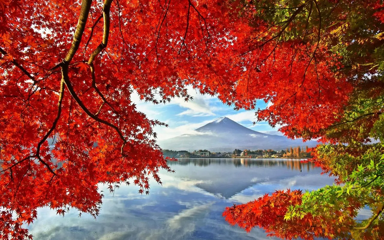 富士山紅葉