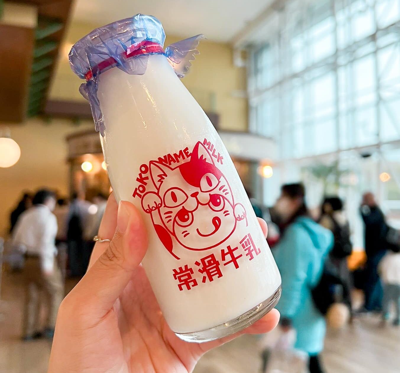 愛知縣出產常滑牛奶